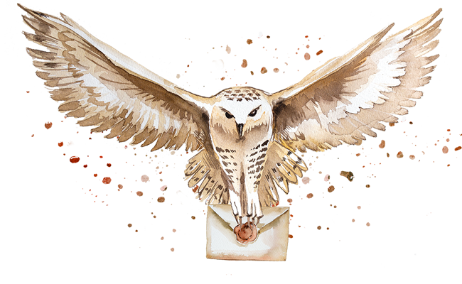 owl camp owl delivering post