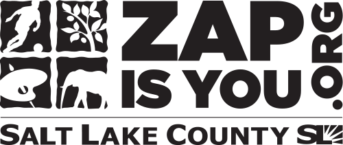 Zap is you .org Salt lake County