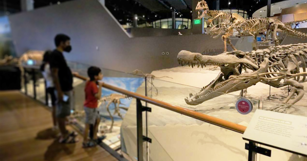 A family stands at a railing admiring a gigantic dinosaur bone display at the Natural Museum of History 