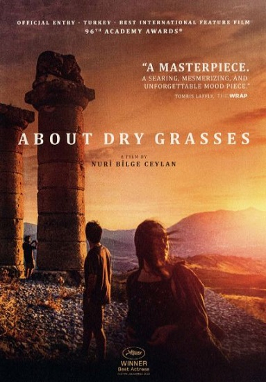 About Dry Grasses